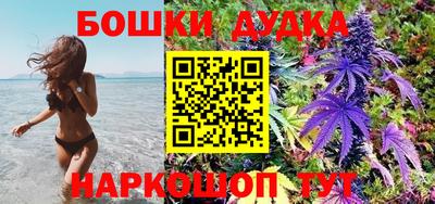 дживик Бийск