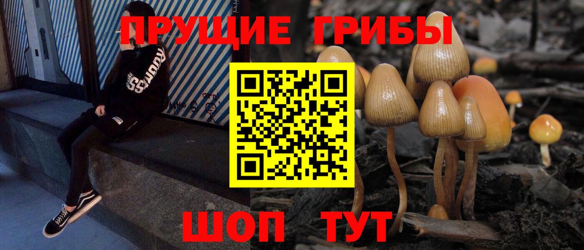 Галлюциногенные грибы Psilocybe  Вход с VPN  Бугуруслан  Псилоцибиновые грибы мицелий 